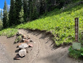 Crested Butte - 401 trail